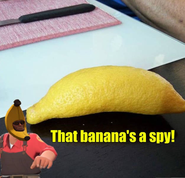 funny picdump 54 pics 3.html - 54 HD Photos | Premium Gallery 2016