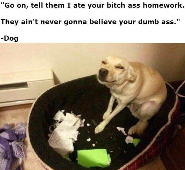 funny picdump 54 pics 3.html - 54 HD Photos | Premium Gallery 2016