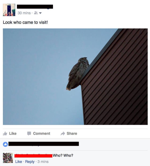 funny picdump 54 pics 3.html - 54 HD Photos | Premium Gallery 2016