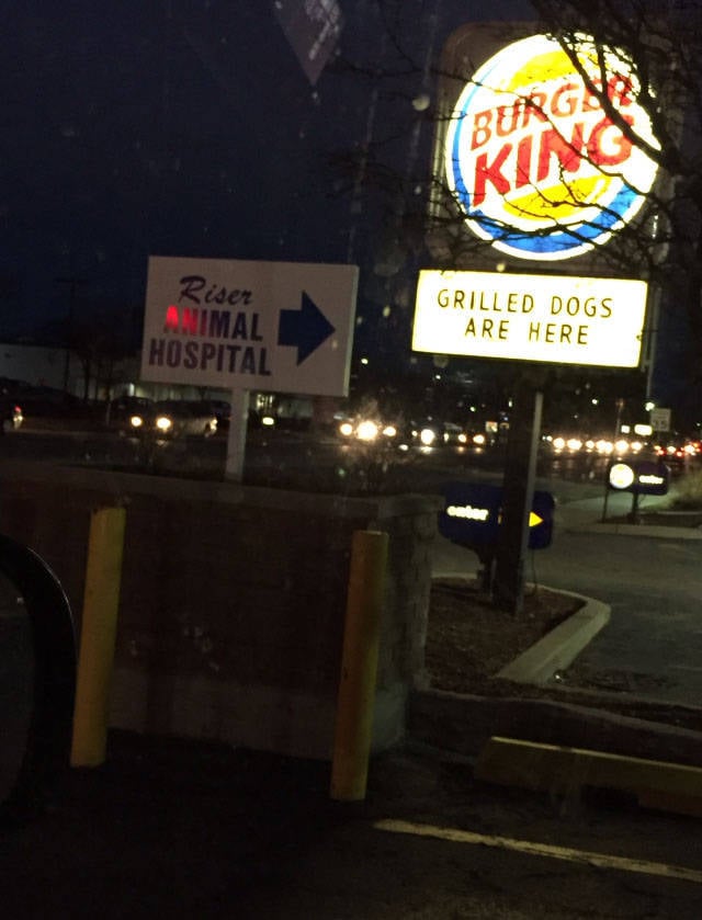 funny picdump 54 pics 3.html - 54 HD Photos | Premium Gallery 2016