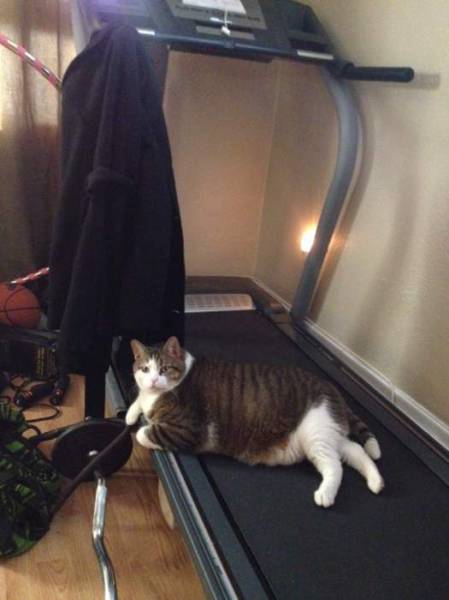 Morning Picdump
