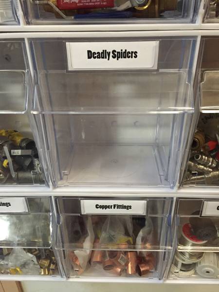 morning picdump 51 pics 7.html - 51 HD Photos | Premium Gallery 2016
