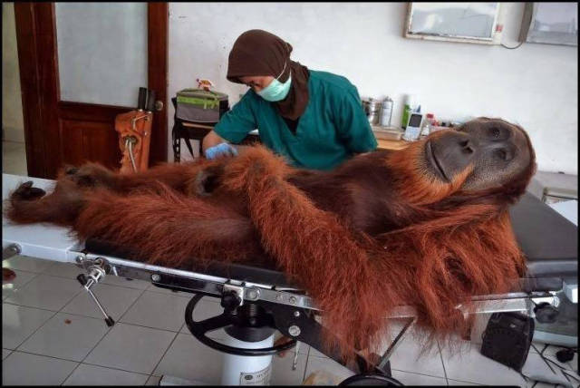 morning picdump 53 pics 20.html - 53 HD Photos | Premium Gallery 2016
