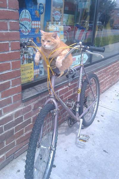 morning picdump 50 pics 16.html - 50 HD Photos | Premium Gallery 2016