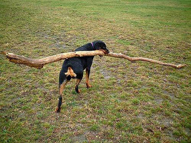 morning picdump 50 pics 16.html - 50 HD Photos | Premium Gallery 2016