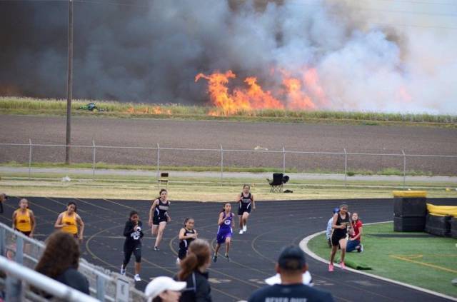 daily picdump 107 pics 9.html - 107 HD Photos | Premium Gallery 2016