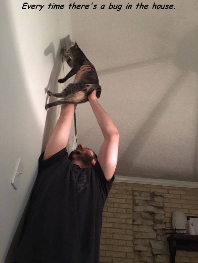 daily picdump 107 pics 9.html - 107 HD Photos | Premium Gallery 2016