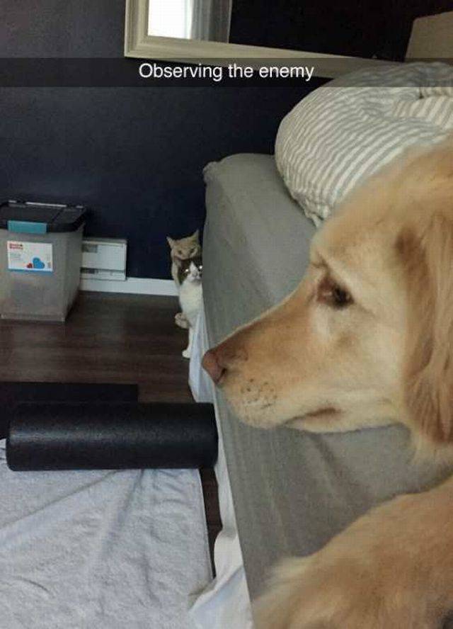 daily picdump 107 pics 9.html - 107 HD Photos | Premium Gallery 2016