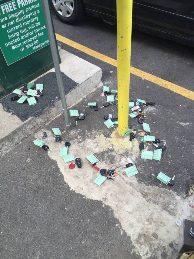 morning picdump 51 pics 19.html - 51 HD Photos | Premium Gallery 2016