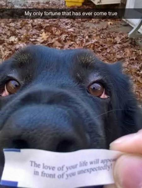 Daily Picdump