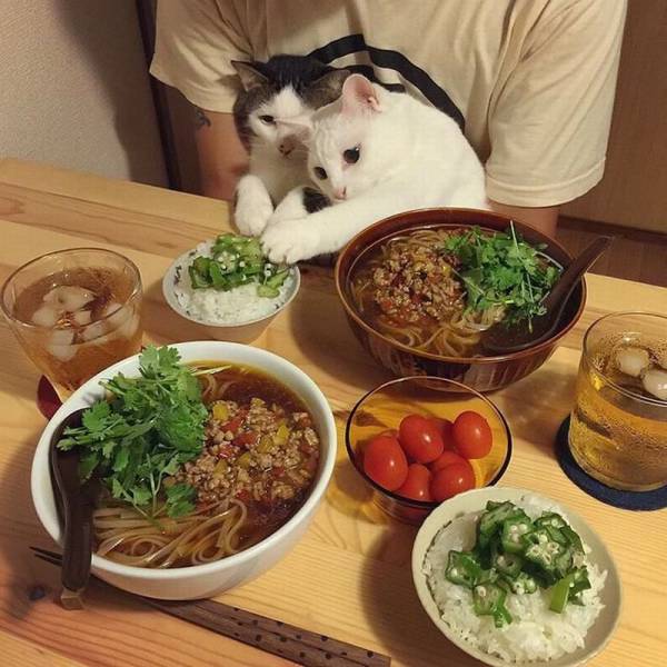 Daily Picdump