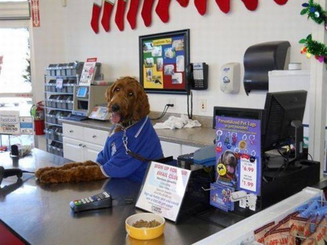 daily picdump 101 pics 46.html - 101 HD Photos | Premium Gallery 2016