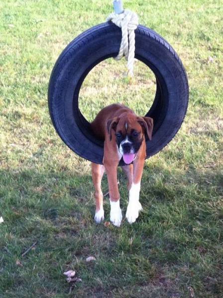 daily picdump 101 pics 46.html - 101 HD Photos | Premium Gallery 2016