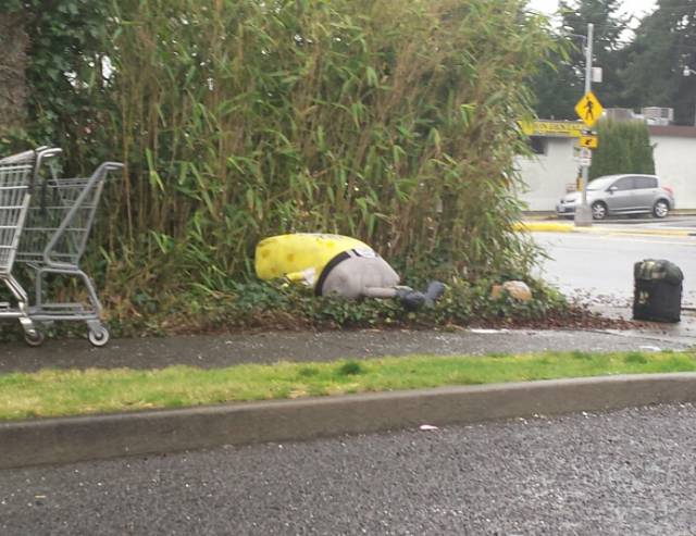 morning picdump 55 pics 3.html - 55 HD Photos | Premium Gallery 2016