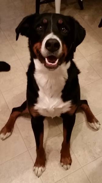 morning picdump 55 pics 3.html - 55 HD Photos | Premium Gallery 2016