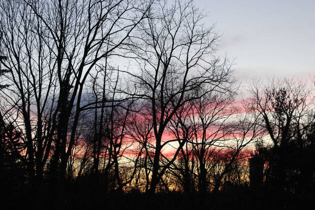 morning picdump 55 pics 3.html - 55 HD Photos | Premium Gallery 2016