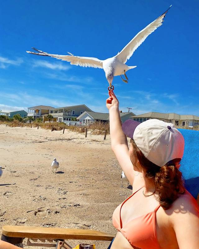 morning picdump 55 pics 3.html - 55 HD Photos | Premium Gallery 2016