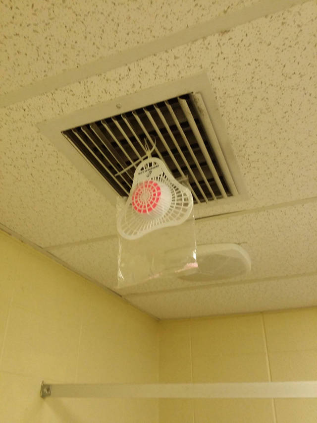 morning picdump 55 pics 3.html - 55 HD Photos | Premium Gallery 2016