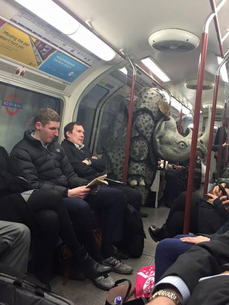 Morning Picdump