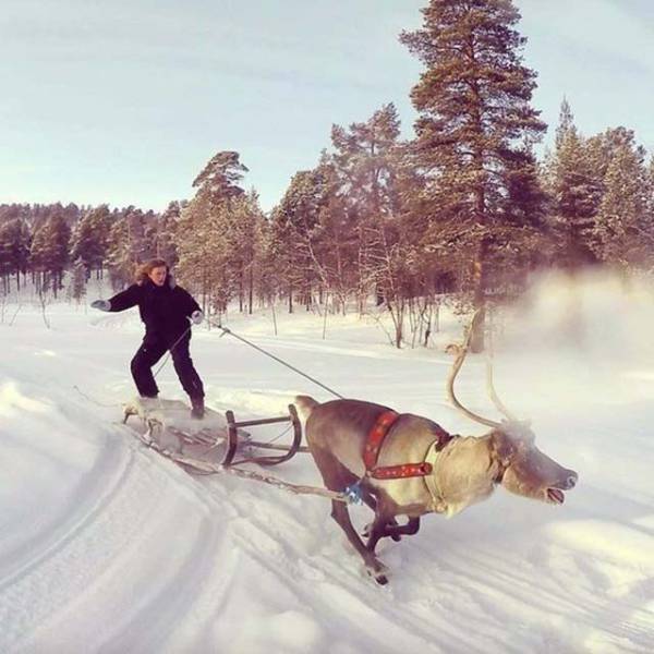 Morning Picdump