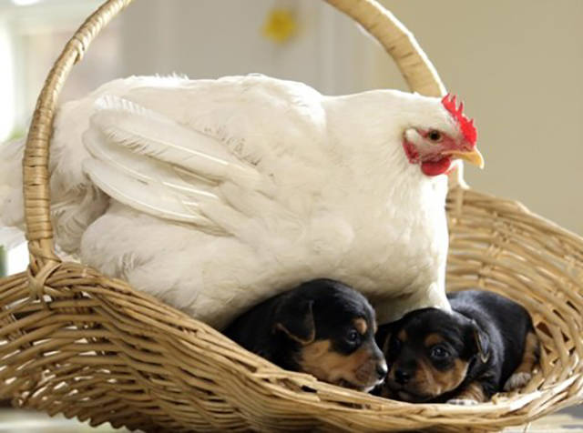 morning picdump 50 pics 15.html - 50 HD Photos | Premium Gallery 2016