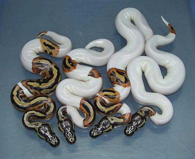 morning picdump 50 pics 15.html - 50 HD Photos | Premium Gallery 2016