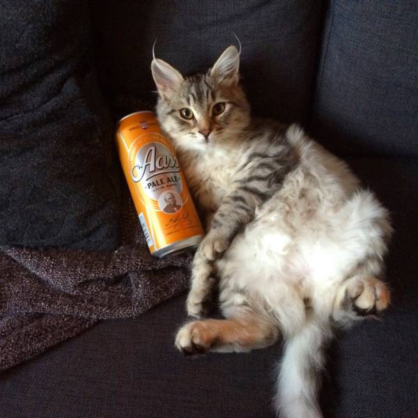 morning picdump 50 pics 15.html - 50 HD Photos | Premium Gallery 2016