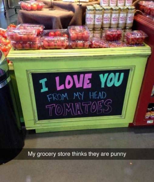 Daily Picdump