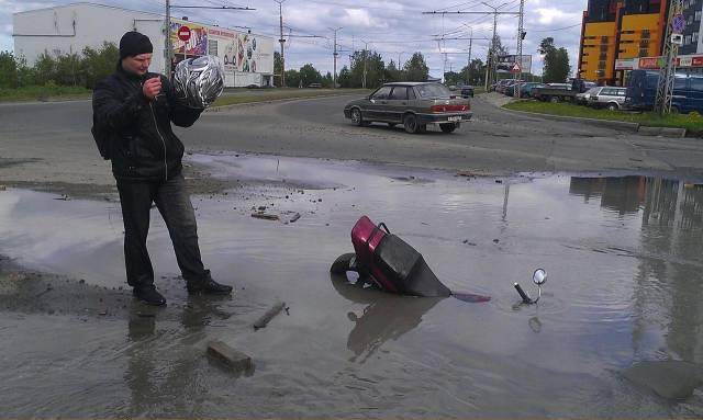 Daily Picdump