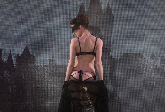 Hot Ladies in Even Hotter Lingerie