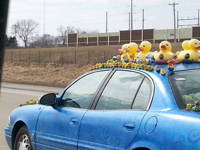 morning picdump 50 pics 24.html - 50 HD Photos | Premium Gallery 2016