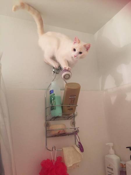 morning picdump 53 pics 12.html - 53 HD Photos | Premium Gallery 2016