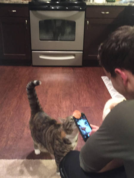 morning picdump 53 pics 12.html - 53 HD Photos | Premium Gallery 2016