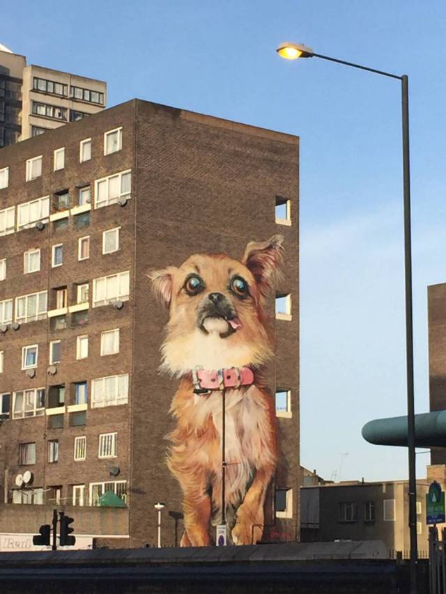 morning picdump 53 pics 12.html - 53 HD Photos | Premium Gallery 2016