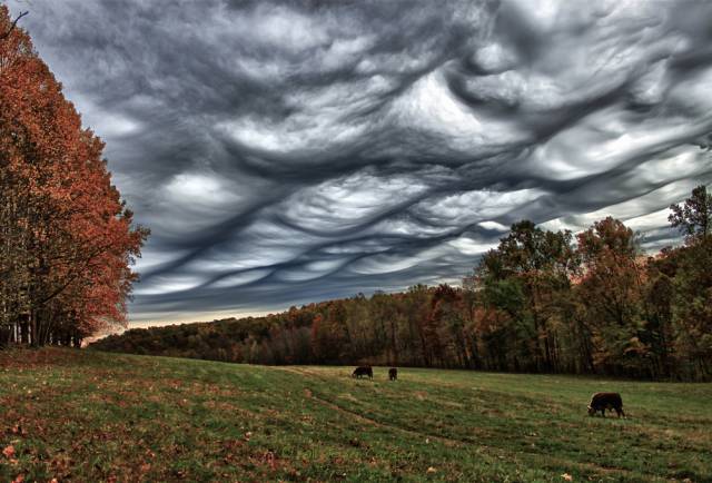 morning picdump 53 pics 27.html - 53 HD Photos | Premium Gallery 2016