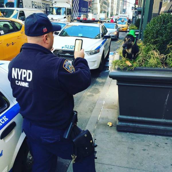 morning picdump 53 pics 27.html - 53 HD Photos | Premium Gallery 2016