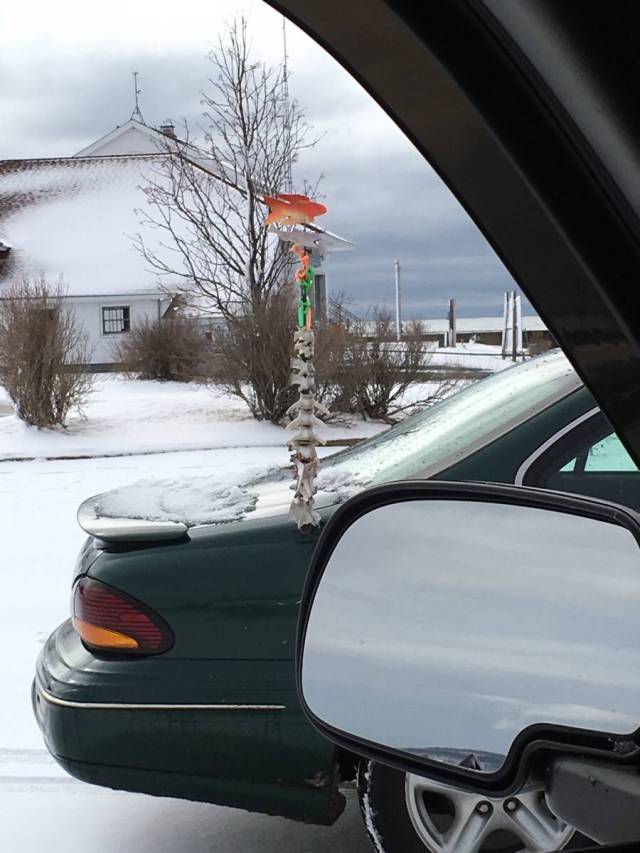 morning picdump 53 pics 27.html - 53 HD Photos | Premium Gallery 2016