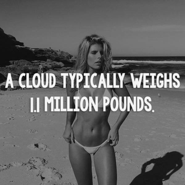 Facts are Best Served with Hot Girls