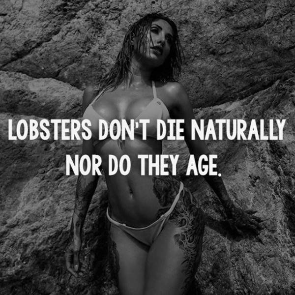 Facts are Best Served with Hot Girls