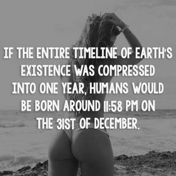 Facts are Best Served with Hot Girls