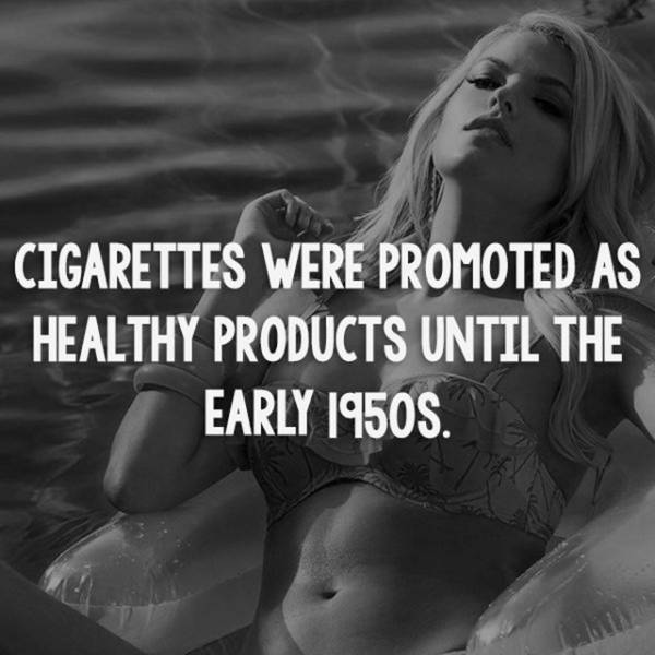 Facts are Best Served with Hot Girls