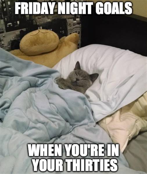 funny picdump 51 pics 14.html - 51 HD Photos | Premium Gallery 2016