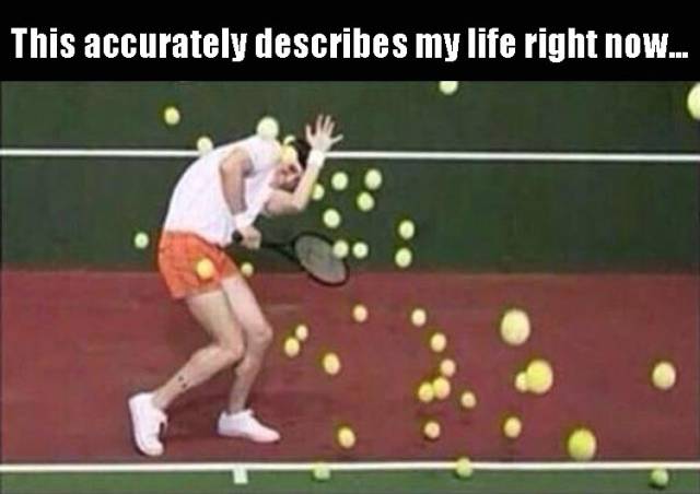 funny picdump 51 pics 14.html - 51 HD Photos | Premium Gallery 2016