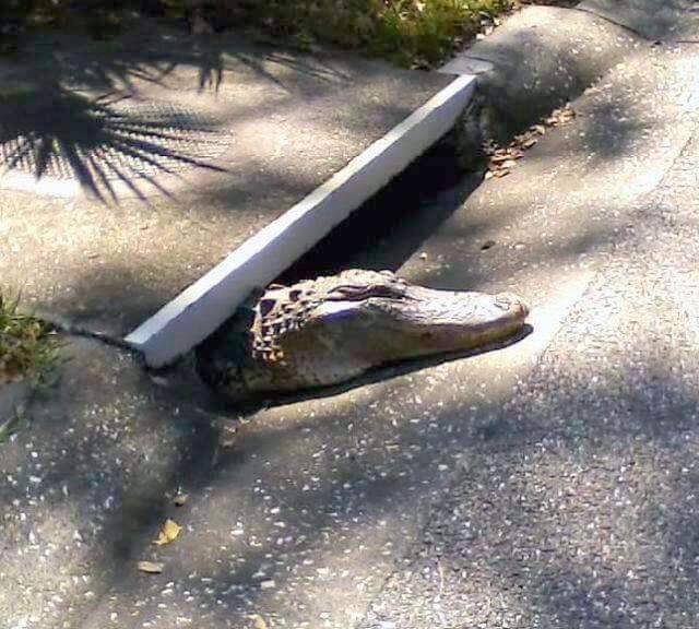 morning picdump 50 pics 12.html - 50 HD Photos | Premium Gallery 2016