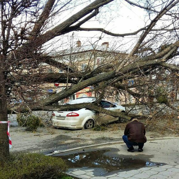 morning picdump 50 pics 12.html - 50 HD Photos | Premium Gallery 2016