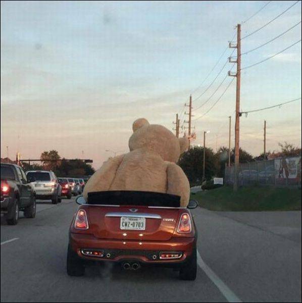 daily picdump 96 pics 42.html - 96 HD Photos | Premium Gallery 2016