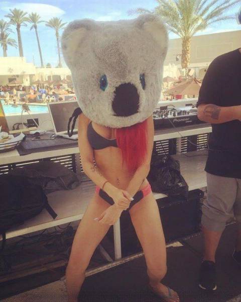 daily picdump 96 pics 42.html - 96 HD Photos | Premium Gallery 2016