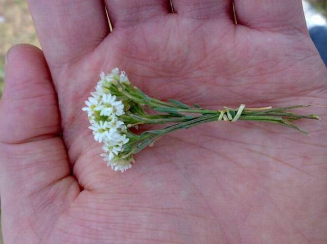 daily picdump 96 pics 42.html - 96 HD Photos | Premium Gallery 2016