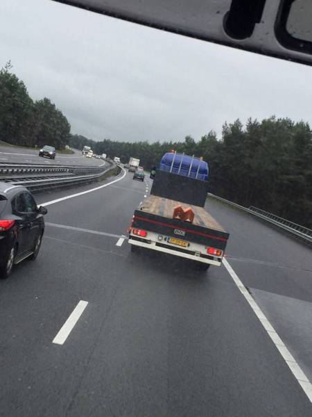 daily picdump 96 pics 42.html - 96 HD Photos | Premium Gallery 2016