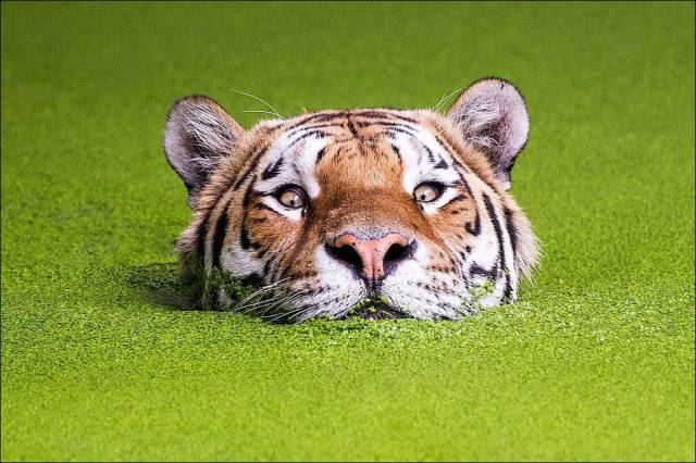 daily picdump 96 pics 42.html - 96 HD Photos | Premium Gallery 2016